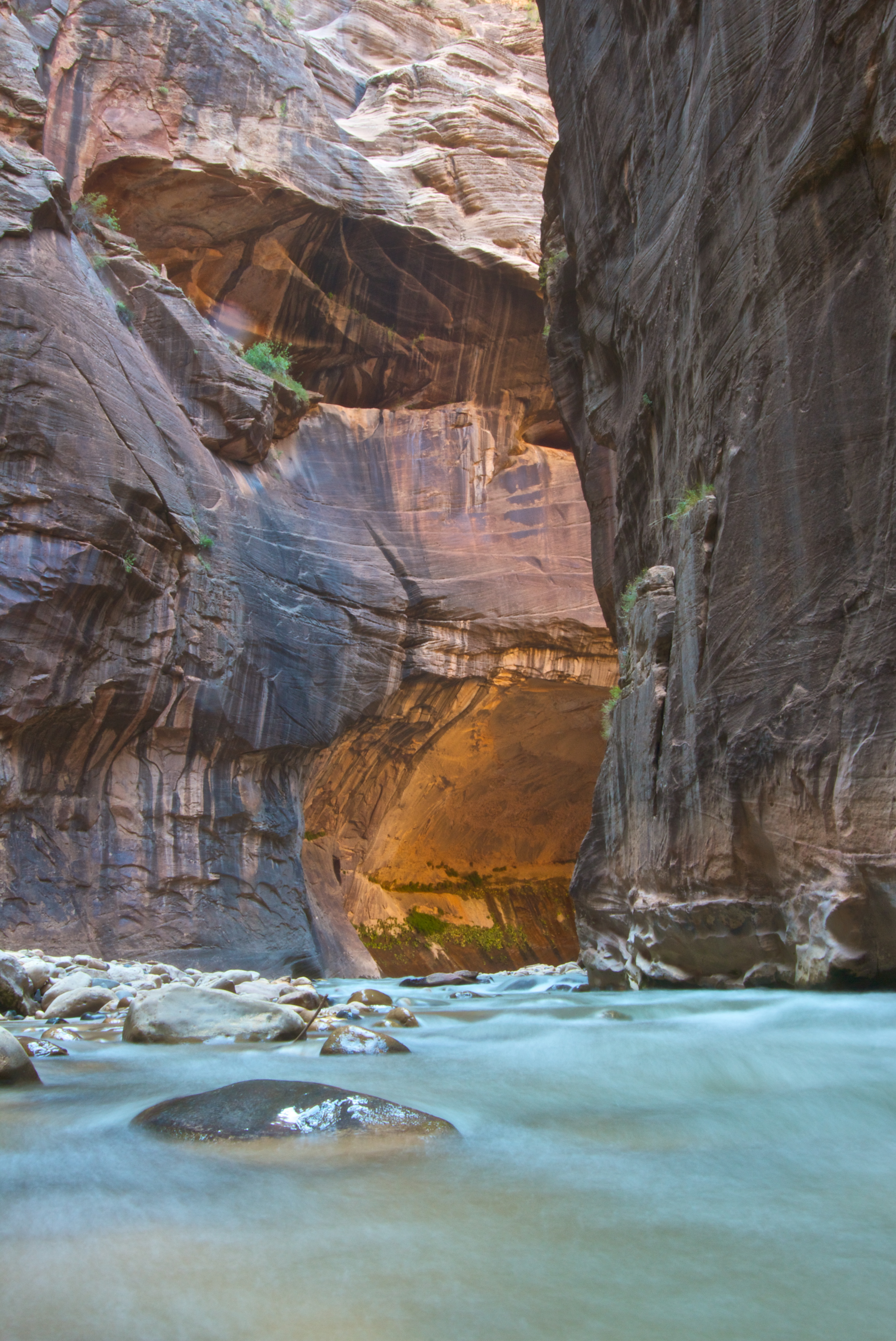 The riverwalk at Zion National Park